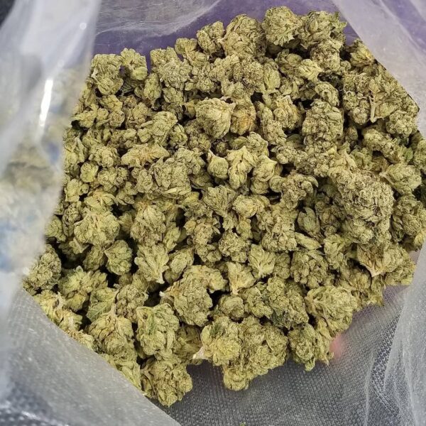 Blueberry Kush online kopen