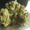 Kup Sour Diesel online