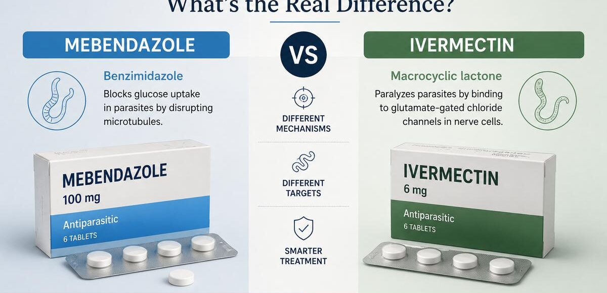 Ivermectin with Mebendazole
